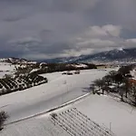 Fra Gli Ulivi *