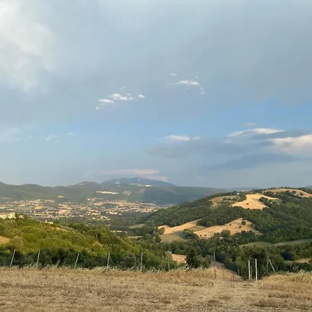 Fra Gli Ulivi Morano Madonnuccia