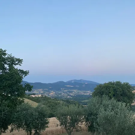 Fra Gli Ulivi Morano Madonnuccia