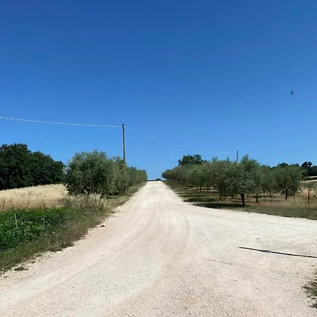 Fra Gli Ulivi Morano Madonnuccia