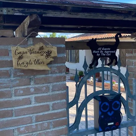 Fra Gli Ulivi * Morano Madonnuccia