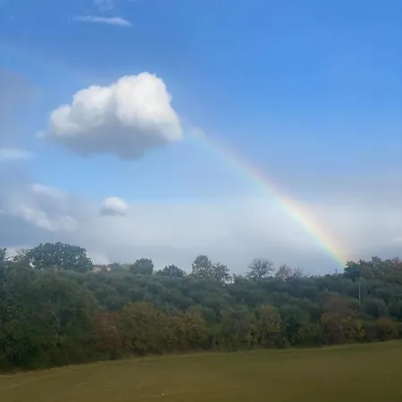Fra Gli Ulivi Casa vacanze Morano Madonnuccia