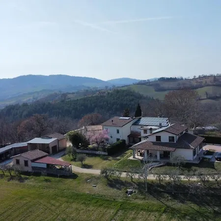 Fra Gli Ulivi *