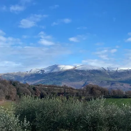 Hébergement de vacances Fra Gli Ulivi