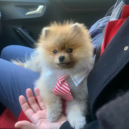 Casa vacanze Fra Gli Ulivi