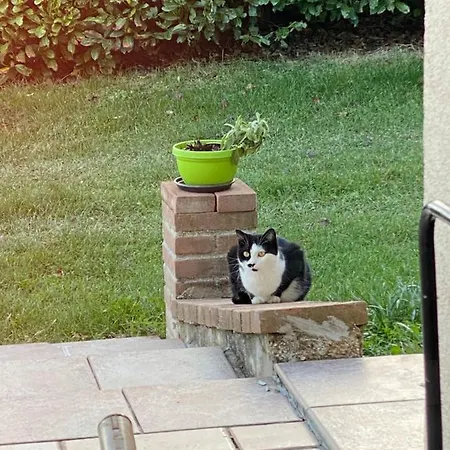 Holiday home Fra Gli Ulivi Morano Madonnuccia