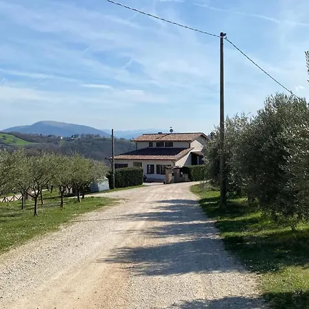 Fra Gli Ulivi Feriehus Morano Madonnuccia