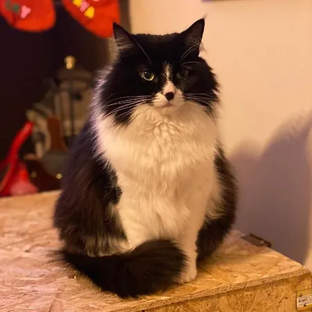 Casa vacanze Fra Gli Ulivi Morano Madonnuccia