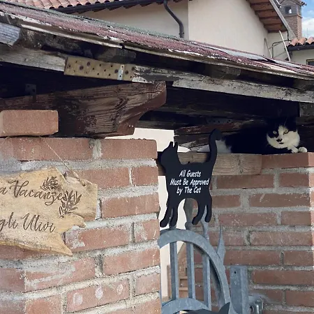 Fra Gli Ulivi Dom wakacyjny Morano Madonnuccia