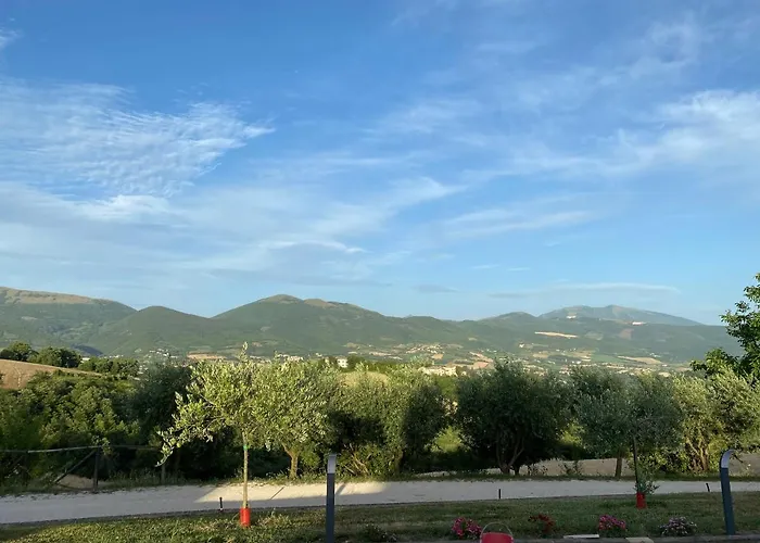 Fra Gli Ulivi * Morano Madonnuccia