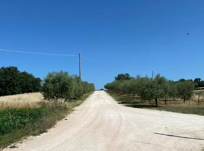 Fra Gli Ulivi Morano Madonnuccia