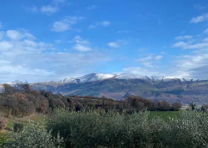 Дом отдыха Fra Gli Ulivi