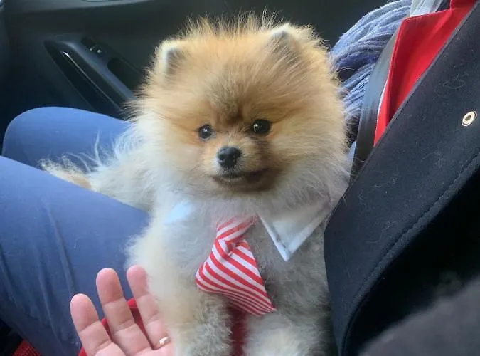 Дом отдыха Fra Gli Ulivi