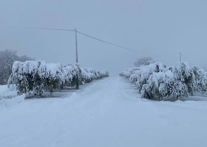 Fra Gli Ulivi Morano Madonnuccia