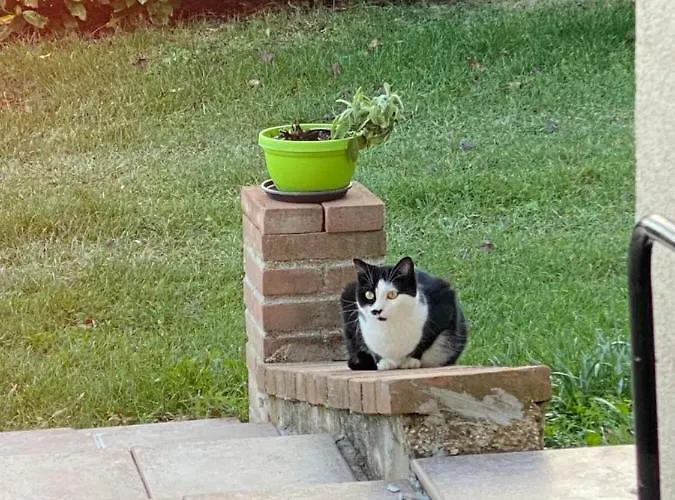 بيت للعطل Fra Gli Ulivi Morano Madonnuccia