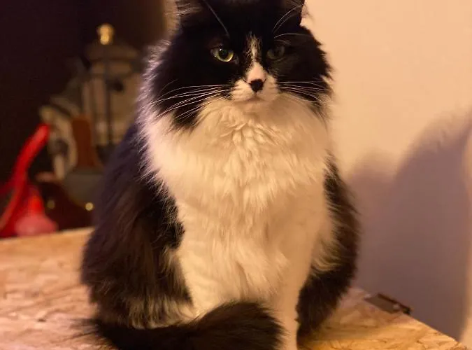 Holiday home Fra Gli Ulivi Morano Madonnuccia