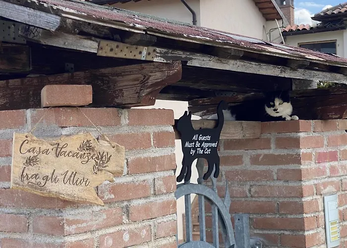 Fra Gli Ulivi Holiday home Morano Madonnuccia